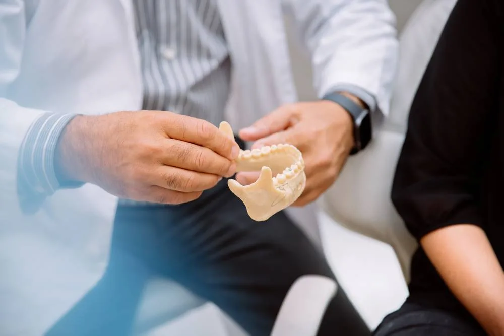 Close view of the dentist holding a model of the teeth during a consultation